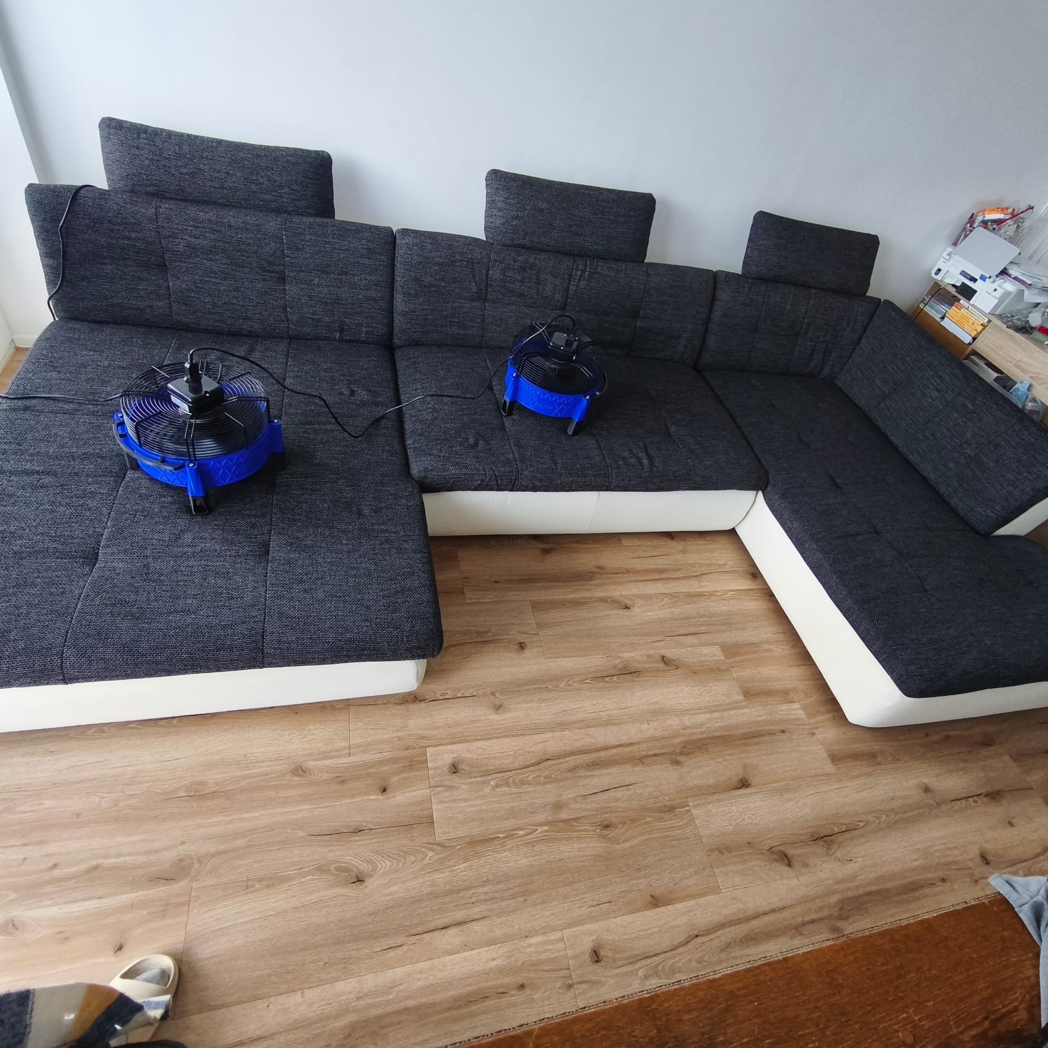 Teppichreinigung Ergebnis