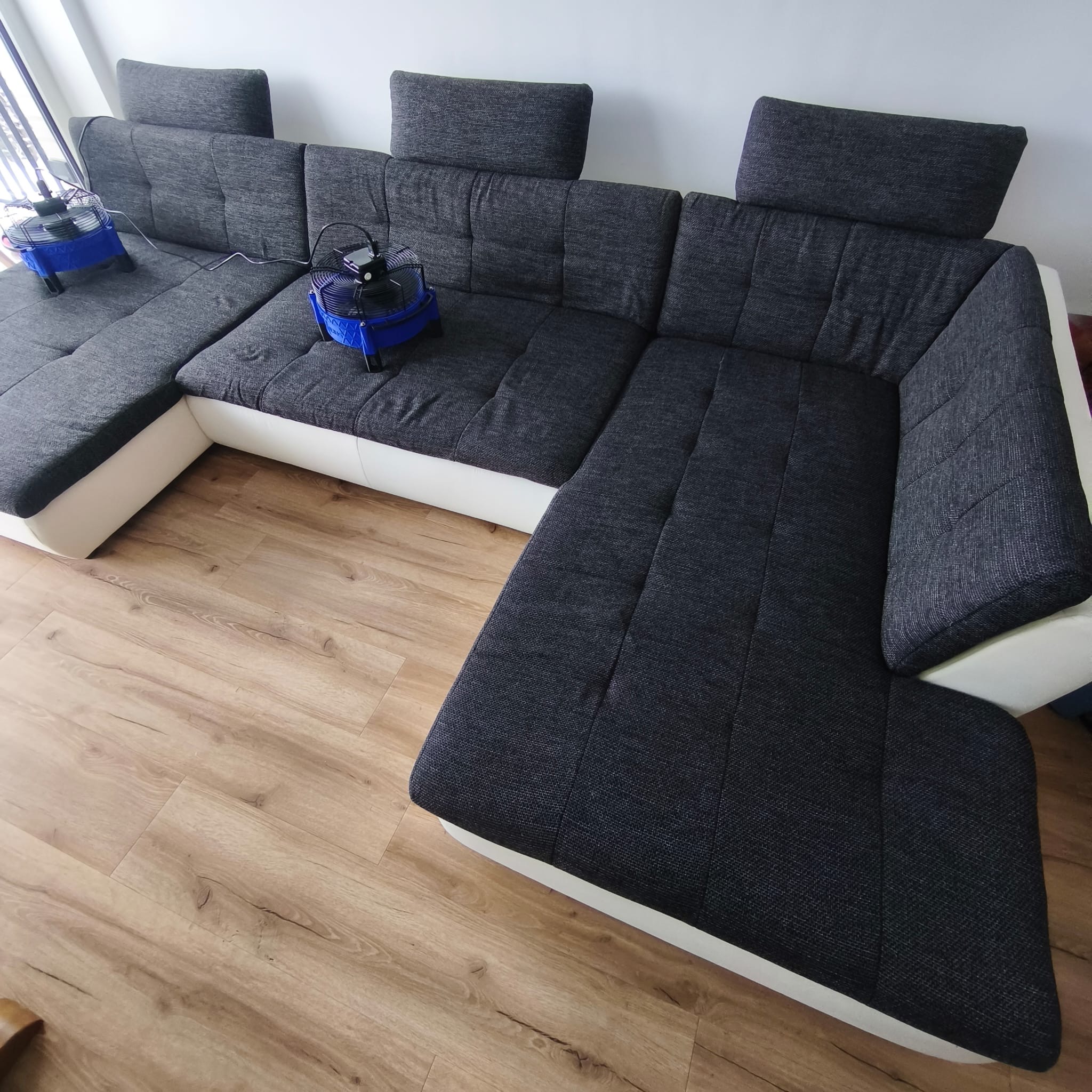 Polsterreinigung Sofa